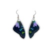 Graphium weiskei top